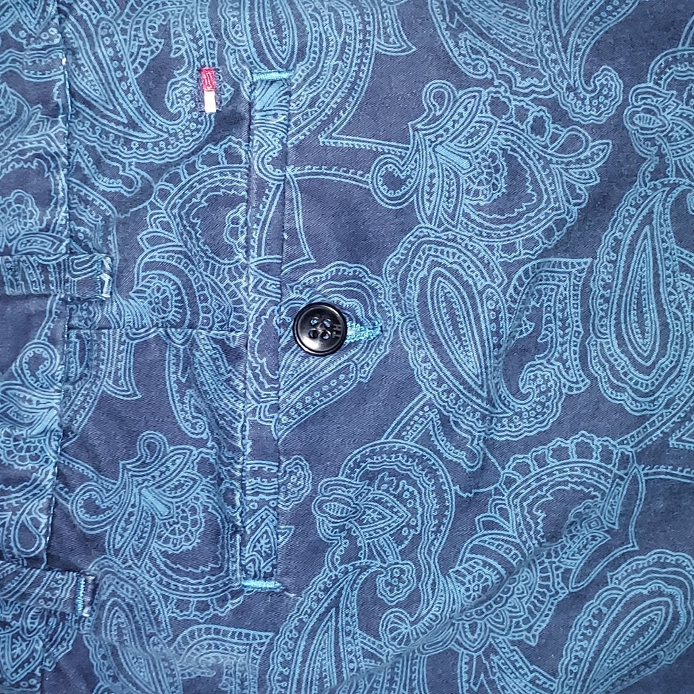 Tommy Hilfiger Blue Flat Front Paisley Shorts - 38